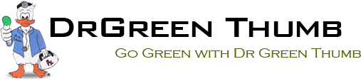 Long Island Organic Air Duct Cleaning – Dr. Green Thumb Logo